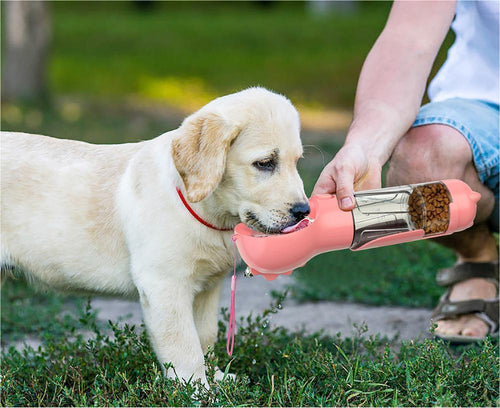 3-in-1 Dog Water Bottle with Food Box & Waste Bag Dispenser — 300ml/500ml