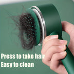 Self-Cleaning Hairbrush with 3D Air Cushion — Detangling Scalp Massage Brush