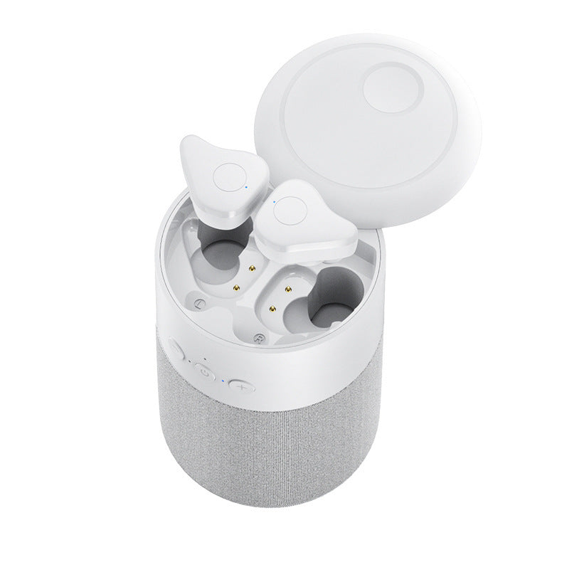 B20 Bluetooth Speaker & Earphone Combo — 2-in-1 Portable Speaker with Earbuds
