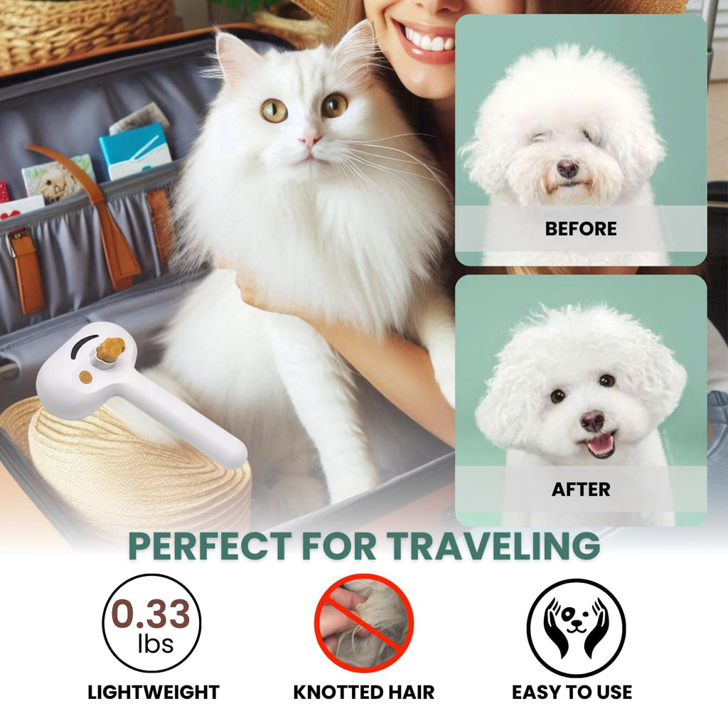 Steam Spray Pet Grooming Brush — Self-Cleaning Slicker for Cats & Dogs