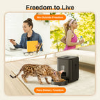 Smart Automatic Cat Feeder with WiFi & Timer — Quantitative Pet Food Dispenser