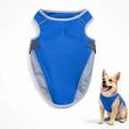 Gilet Rafraîchissant pour Chien — Légère Chemise Été S–2XL Bleu Foncé & Arc-en-ciel